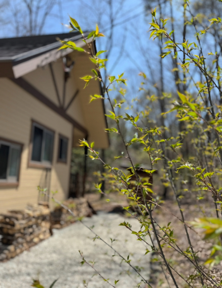 クリーム色と茶色の外観