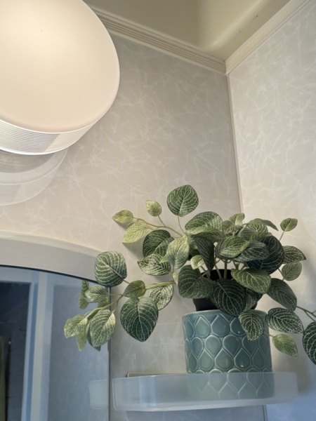 サウナ後、ウッドデッキから浴室へ。