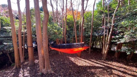 ハンモックの設置も可能です