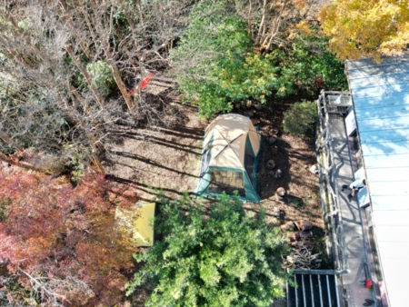 上から見るとこんな感じ