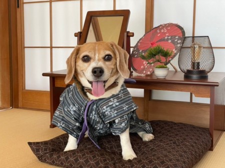 フォトスポット