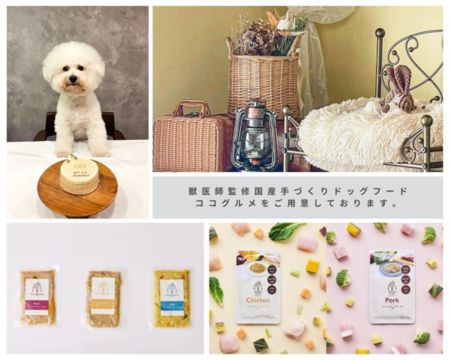 わんちゃんアメニティ