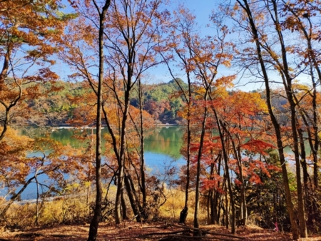桜、新緑、紅葉、季節毎の見所も♪