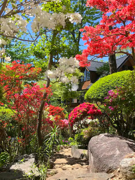 春夏には綺麗な花が咲きます！