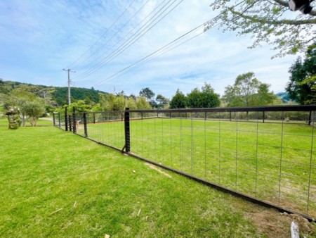 広々ドックランを独り占め!!