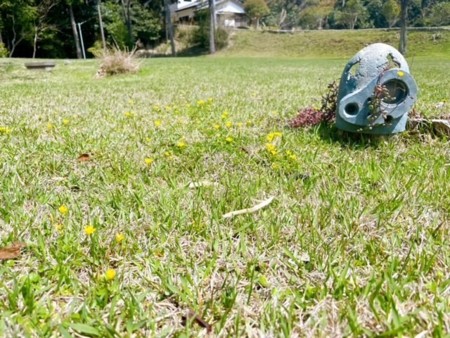 なんと・・巨神兵？？