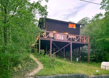 新緑に囲まれる ”THE 森大将”