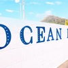 OCEAN MINTのブランドロゴ♪