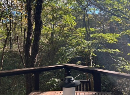 眺め：ウッドデッキから