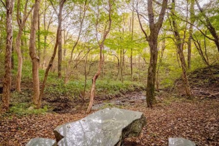 裏庭：小川の横の石製テーブル