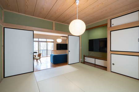 地上波, Netflix等