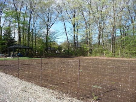 400㎡のドッグランで大型犬も遊べます