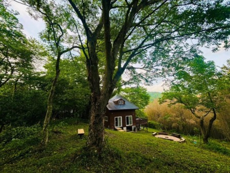 敷地内ケヤキの大木からの景色