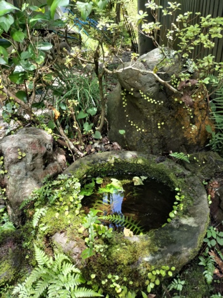 日常から離れた、静寂にひたる