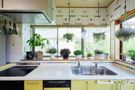 観葉植物に囲まれた明るいキッチン