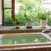 観葉植物に囲まれお庭を臨んだ浴室