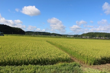 自然であふれた周辺エリア