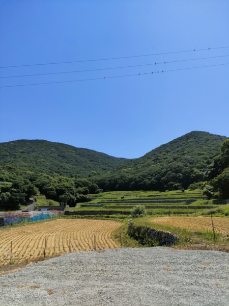 裏庭