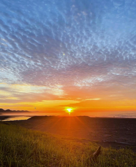 朝陽側の海です