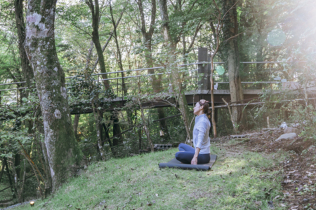 芝生エリア（朝ヨガやドッグランにも）