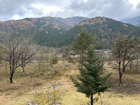 秋の景色は哀愁を誘います！11月