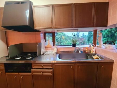 キッチンからの森のビュー