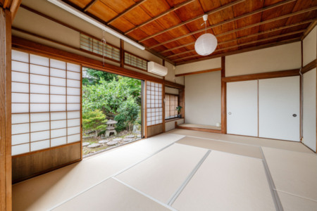 庭に素敵な緑もございます