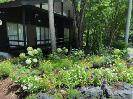 春夏はロッジの周りに花が咲きます