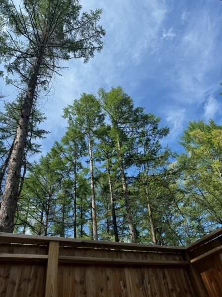 サウナのウッドデッキで空をひとりじめ！