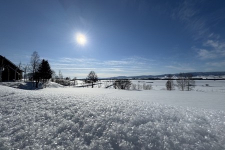 冬には一面の雪景色も♪