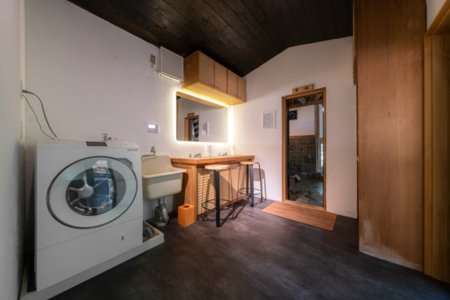 乾燥機付き洗濯機とダイソンのドライヤー