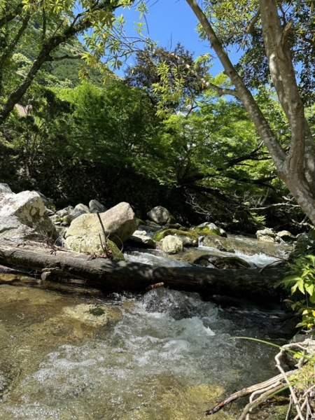 周りを流れる川、夏は泳げます。