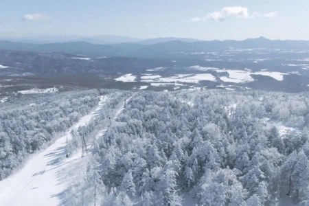 スキー場