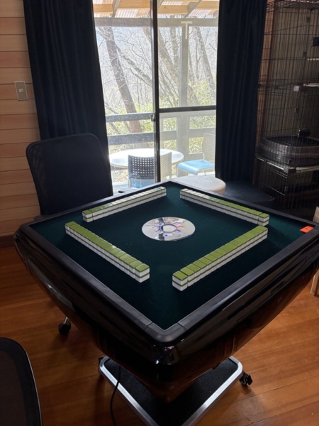 全自動麻雀宅もオプションでお選び頂けます