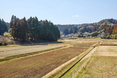 庭から見下ろす田園風景