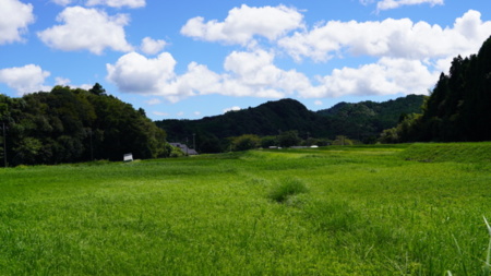 見渡す山々。季節によって表情豊かに