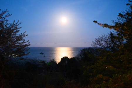 海夜をまっすぐに照らす月の光を楽しむ