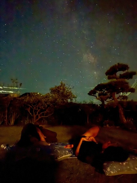 ガーデンからの星空