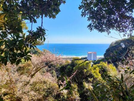 裏山からの絶景