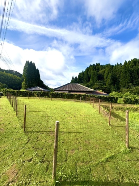 200平米の天然芝ドッグラン