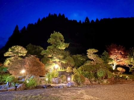 夜の日本庭園　空には満点の星空