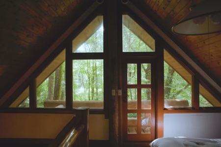 緑いっぱいの天窓から心地よい光をとり込み