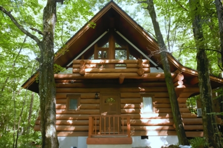 緑に囲まれた外観