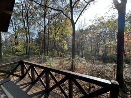 気持ちのいい朝の景色です!11月