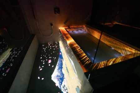 浴室（プロジェクションマッピング）