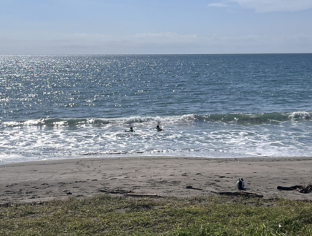 徒歩1分で安全な穴場の海で遊べます