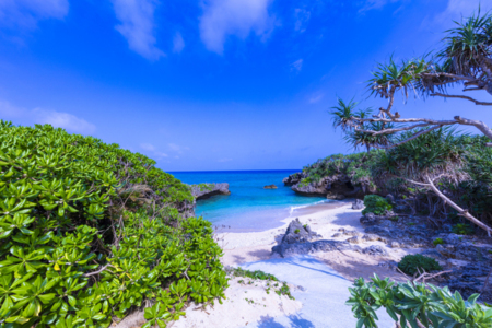 希望ヶ丘ビーチまで徒歩8分