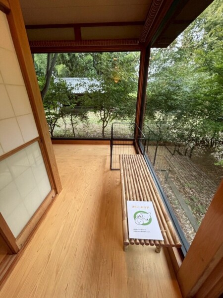 ワンちゃんOK！ペット専用フリーエリア！