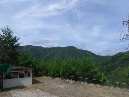 場内の風景。散策もおすすめです。