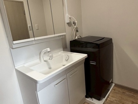 浴室横に洗濯機完備でそのまま洗濯可能